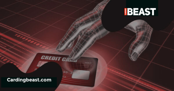 Top 10 No-CVV Websites