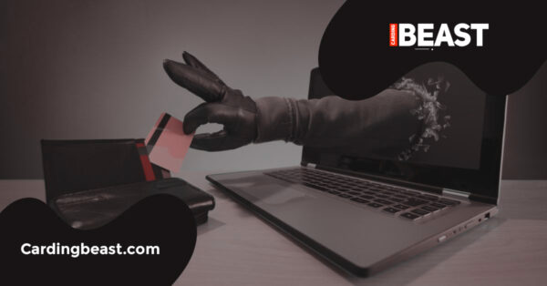 PayPal Carding Method