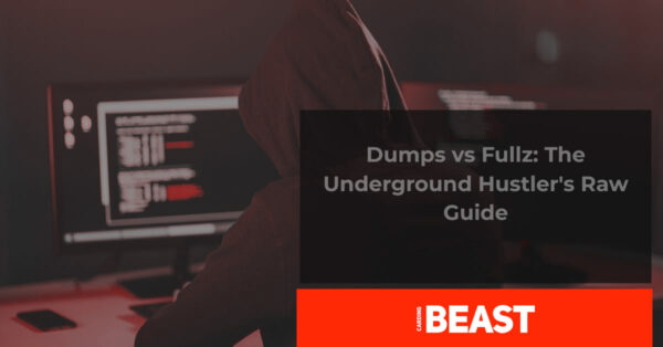 dumps vs fullz