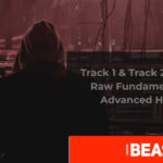 Track 1 & Track 2 Data